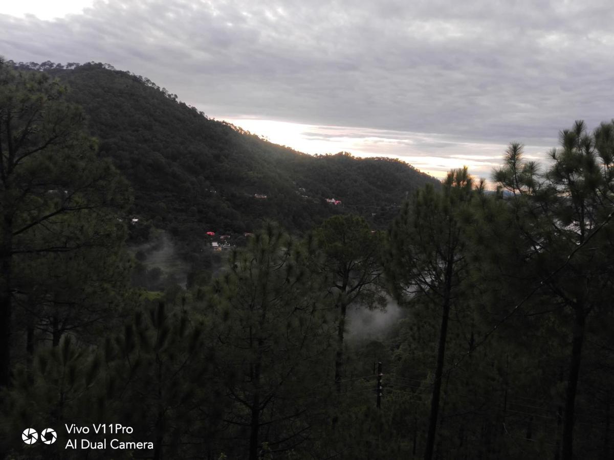 Pine Villa กัสซอลี ภายนอก รูปภาพ