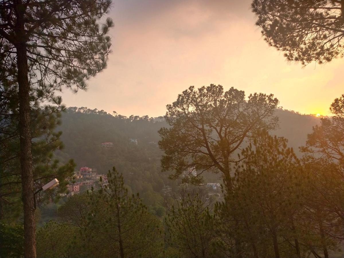 Pine Villa กัสซอลี ภายนอก รูปภาพ